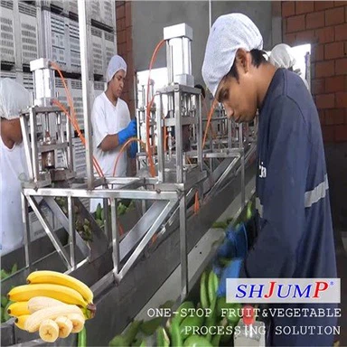 Лінія з виробництва бананового пюре